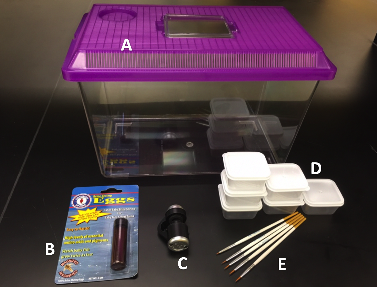 Killi-Kit educational outreach materials
