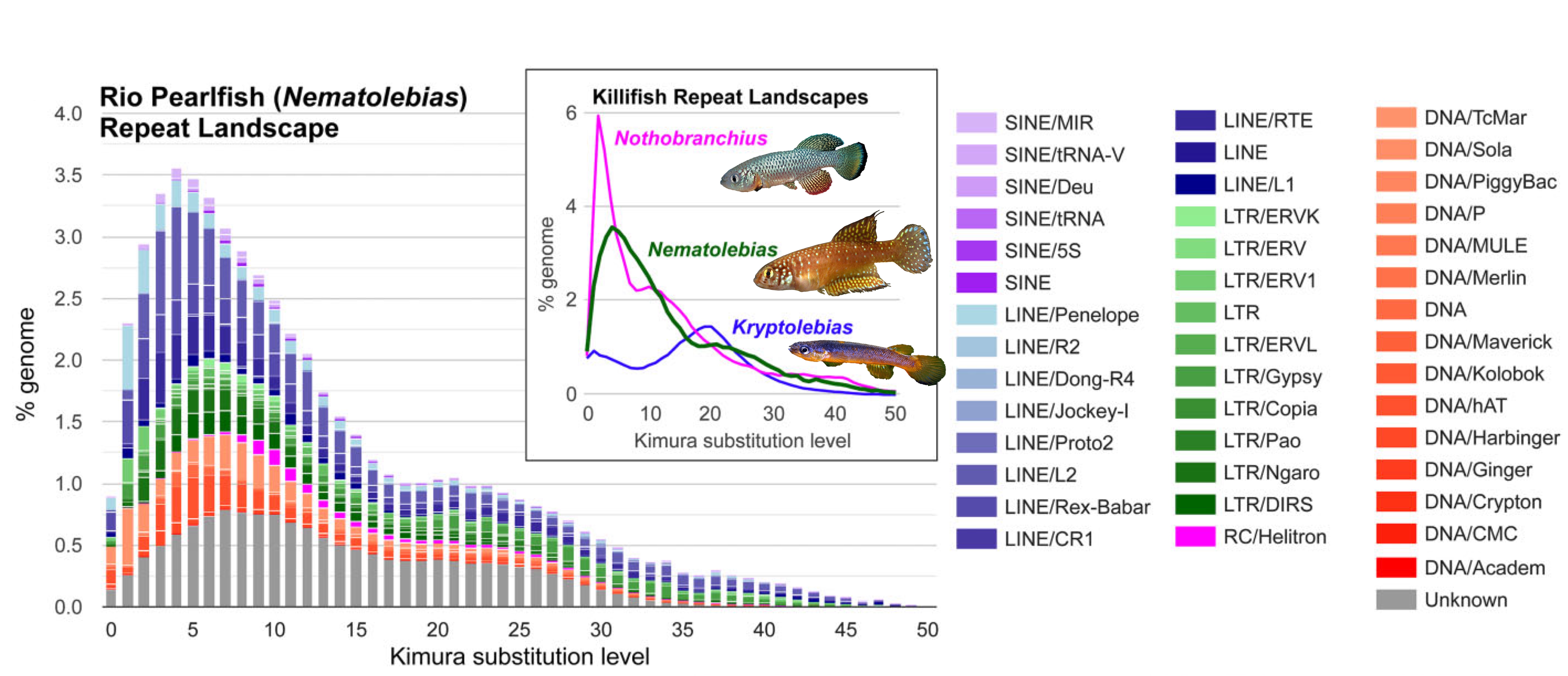 Repetative DNA elements