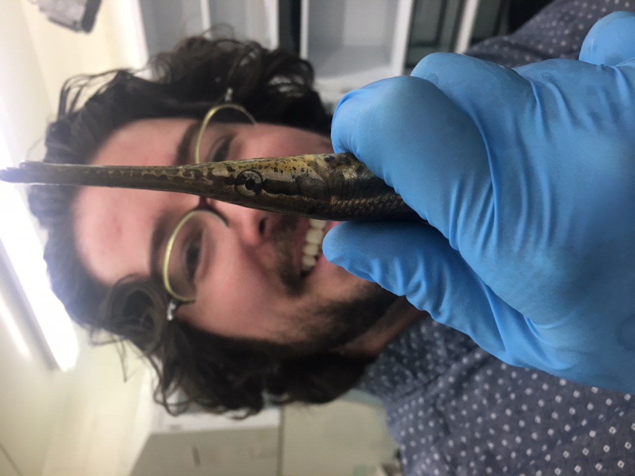 Researcher holding gar