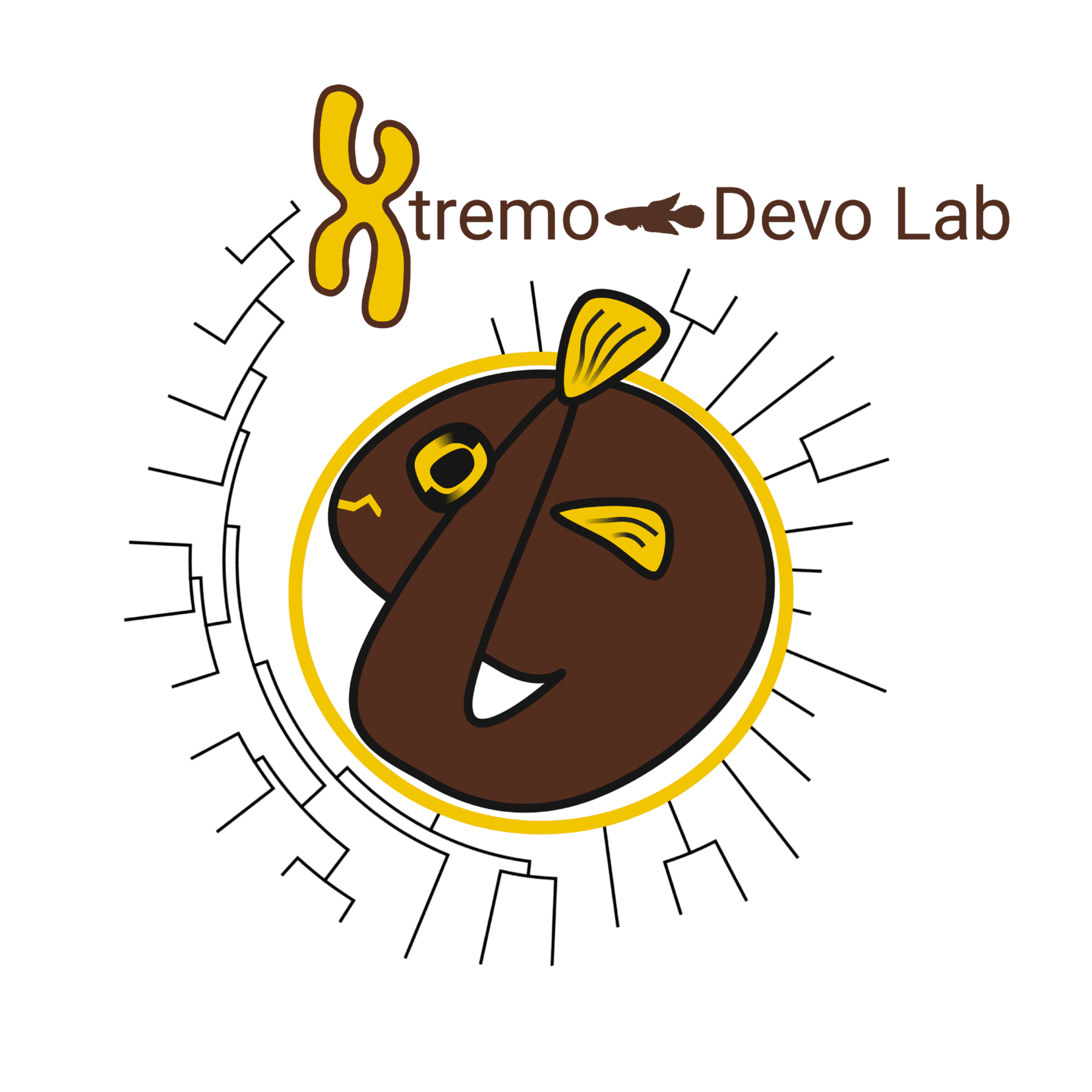 Xtremo-Devo Lab logo