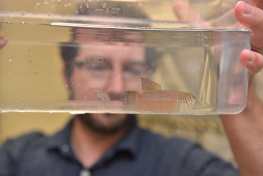 Andrew Thompson lab photo